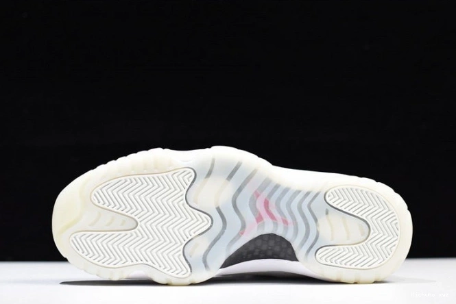 378037-016 Jordan Retro Tint 11 Platinum Air 0624